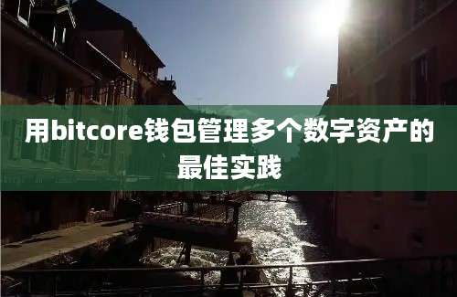 用bitcore钱包管理多个数字资产的最佳实践