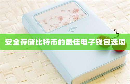 安全存储比特币的最佳电子钱包选项