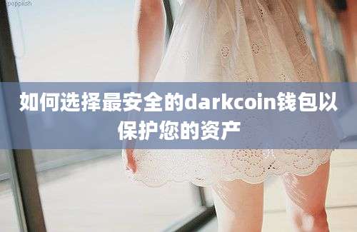 如何选择最安全的darkcoin钱包以保护您的资产