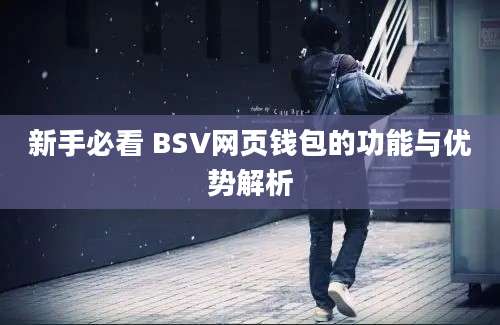 新手必看 BSV网页钱包的功能与优势解析