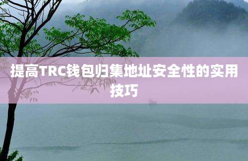 提高TRC钱包归集地址安全性的实用技巧