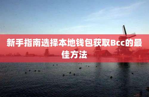 新手指南选择本地钱包获取Bcc的最佳方法