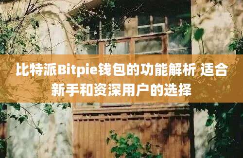 比特派Bitpie钱包的功能解析 适合新手和资深用户的选择