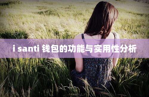 i santi 钱包的功能与实用性分析