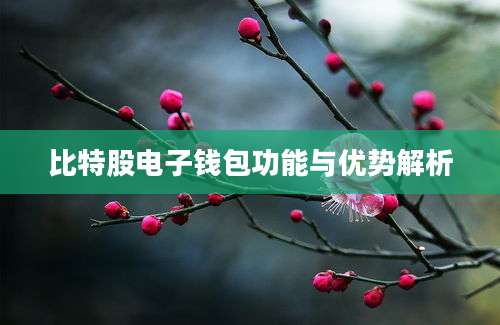 比特股电子钱包功能与优势解析