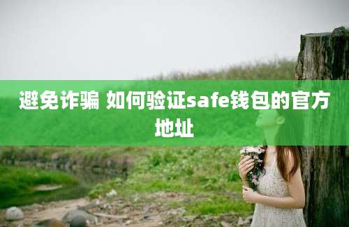 避免诈骗 如何验证safe钱包的官方地址