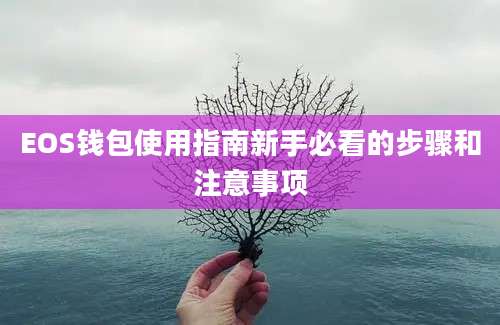 EOS钱包使用指南新手必看的步骤和注意事项