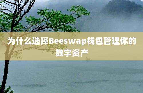 为什么选择Beeswap钱包管理你的数字资产