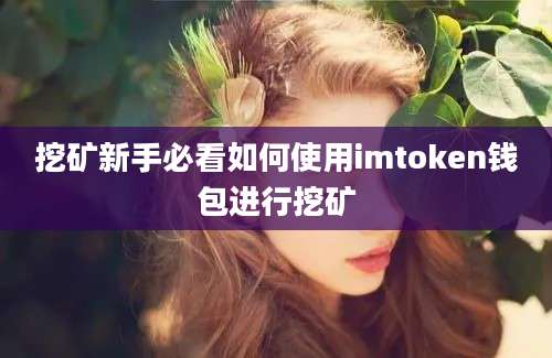 挖矿新手必看如何使用imtoken钱包进行挖矿