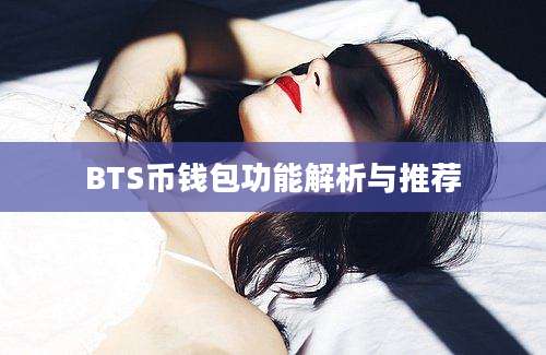 BTS币钱包功能解析与推荐