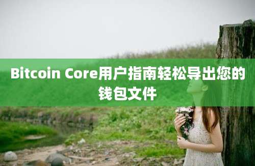 Bitcoin Core用户指南轻松导出您的钱包文件