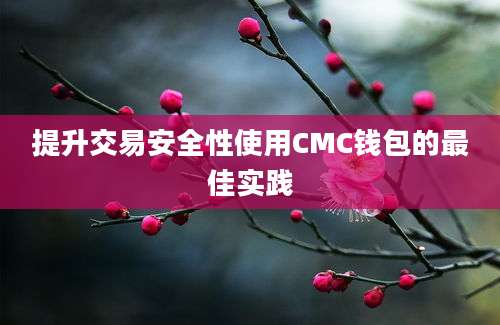 提升交易安全性使用CMC钱包的最佳实践