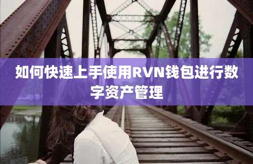 如何快速上手使用RVN钱包进行数字资产管理