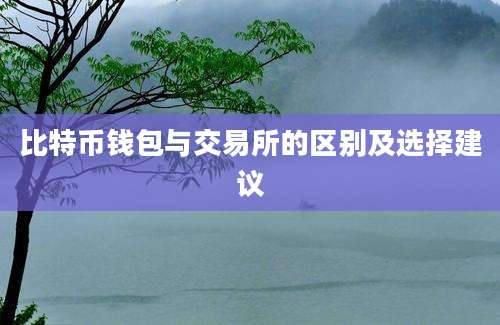 比特币钱包与交易所的区别及选择建议