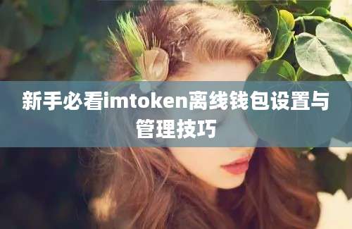 新手必看imtoken离线钱包设置与管理技巧