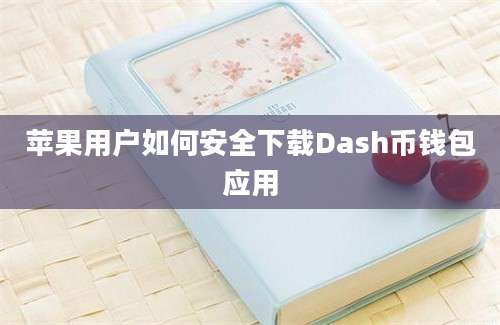 苹果用户如何安全下载Dash币钱包应用