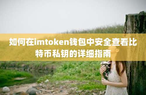 如何在imtoken钱包中安全查看比特币私钥的详细指南