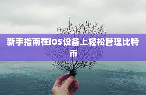 新手指南在iOS设备上轻松管理比特币