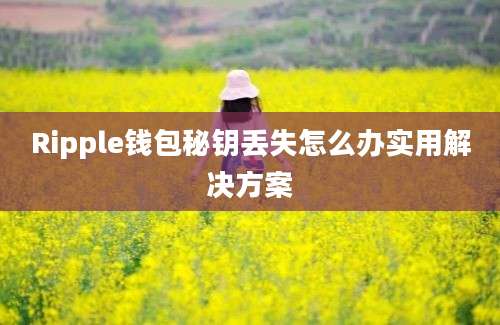 Ripple钱包秘钥丢失怎么办实用解决方案