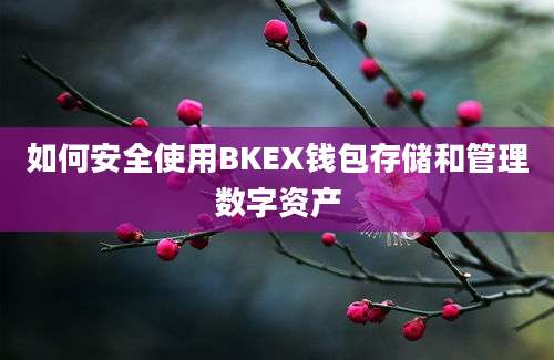 如何安全使用BKEX钱包存储和管理数字资产