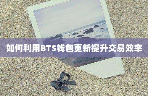 如何利用BTS钱包更新提升交易效率