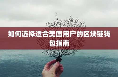 如何选择适合美国用户的区块链钱包指南