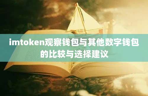 imtoken观察钱包与其他数字钱包的比较与选择建议