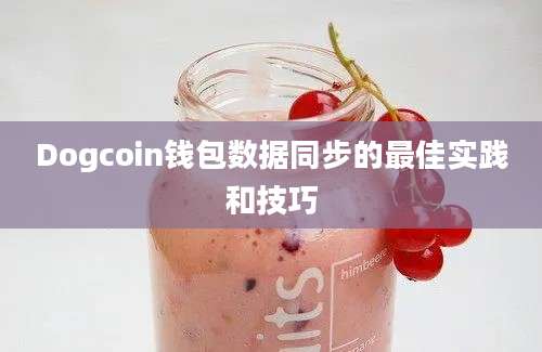 Dogcoin钱包数据同步的最佳实践和技巧