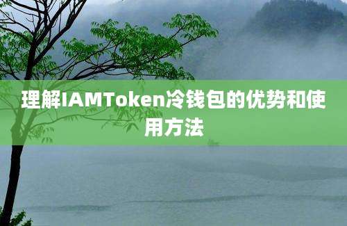 理解IAMToken冷钱包的优势和使用方法