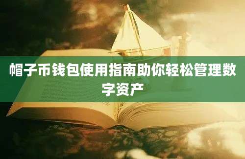 帽子币钱包使用指南助你轻松管理数字资产