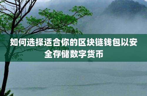 如何选择适合你的区块链钱包以安全存储数字货币