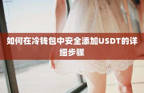 如何在冷钱包中安全添加USDT的详细步骤