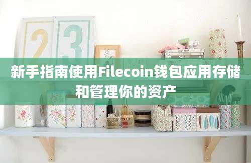 新手指南使用Filecoin钱包应用存储和管理你的资产