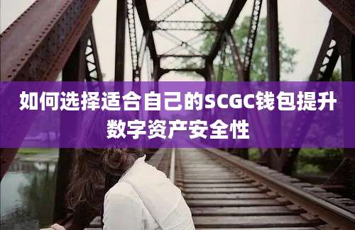 如何选择适合自己的SCGC钱包提升数字资产安全性