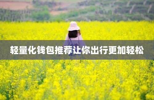 轻量化钱包推荐让你出行更加轻松