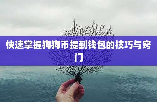 快速掌握狗狗币提到钱包的技巧与窍门