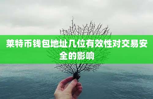 莱特币钱包地址几位有效性对交易安全的影响