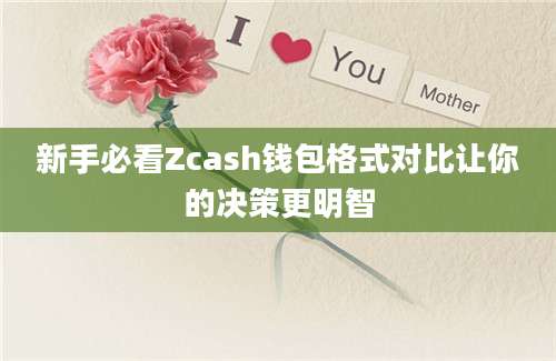 新手必看Zcash钱包格式对比让你的决策更明智