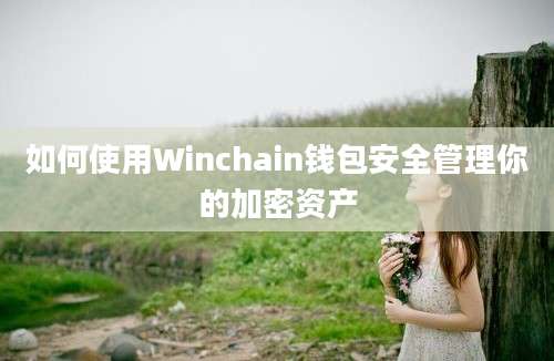 如何使用Winchain钱包安全管理你的加密资产