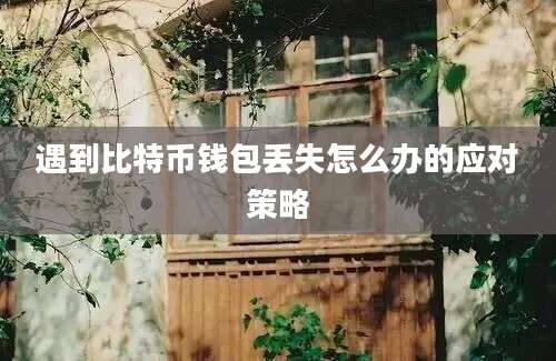 遇到比特币钱包丢失怎么办的应对策略