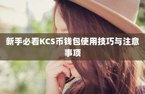 新手必看KCS币钱包使用技巧与注意事项