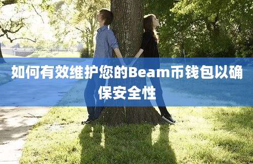 如何有效维护您的Beam币钱包以确保安全性