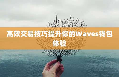 高效交易技巧提升你的Waves钱包体验