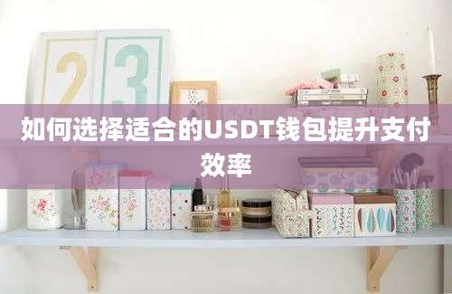 如何选择适合的USDT钱包提升支付效率