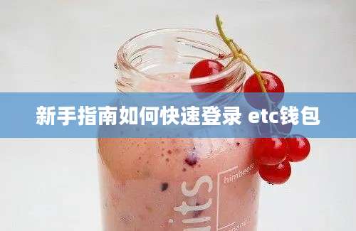 新手指南如何快速登录 etc钱包