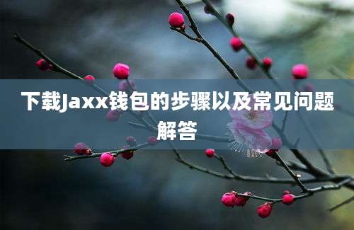 下载Jaxx钱包的步骤以及常见问题解答