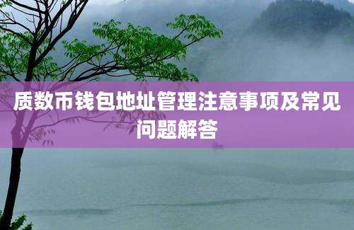 质数币钱包地址管理注意事项及常见问题解答