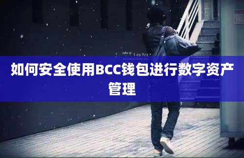 如何安全使用BCC钱包进行数字资产管理