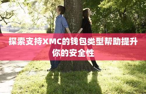 探索支持XMC的钱包类型帮助提升你的安全性