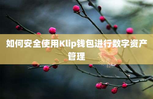 如何安全使用Klip钱包进行数字资产管理